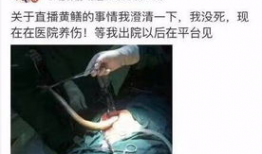 黄鳝门视频,揭秘网络直播的道德边界与监管挑战