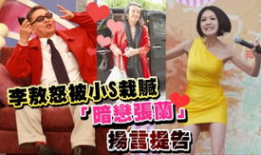 李敖视频,揭秘历史真相，激荡思想火花