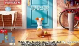 好屌视频,一场视觉与思维的盛宴